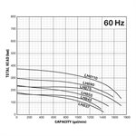 LH875